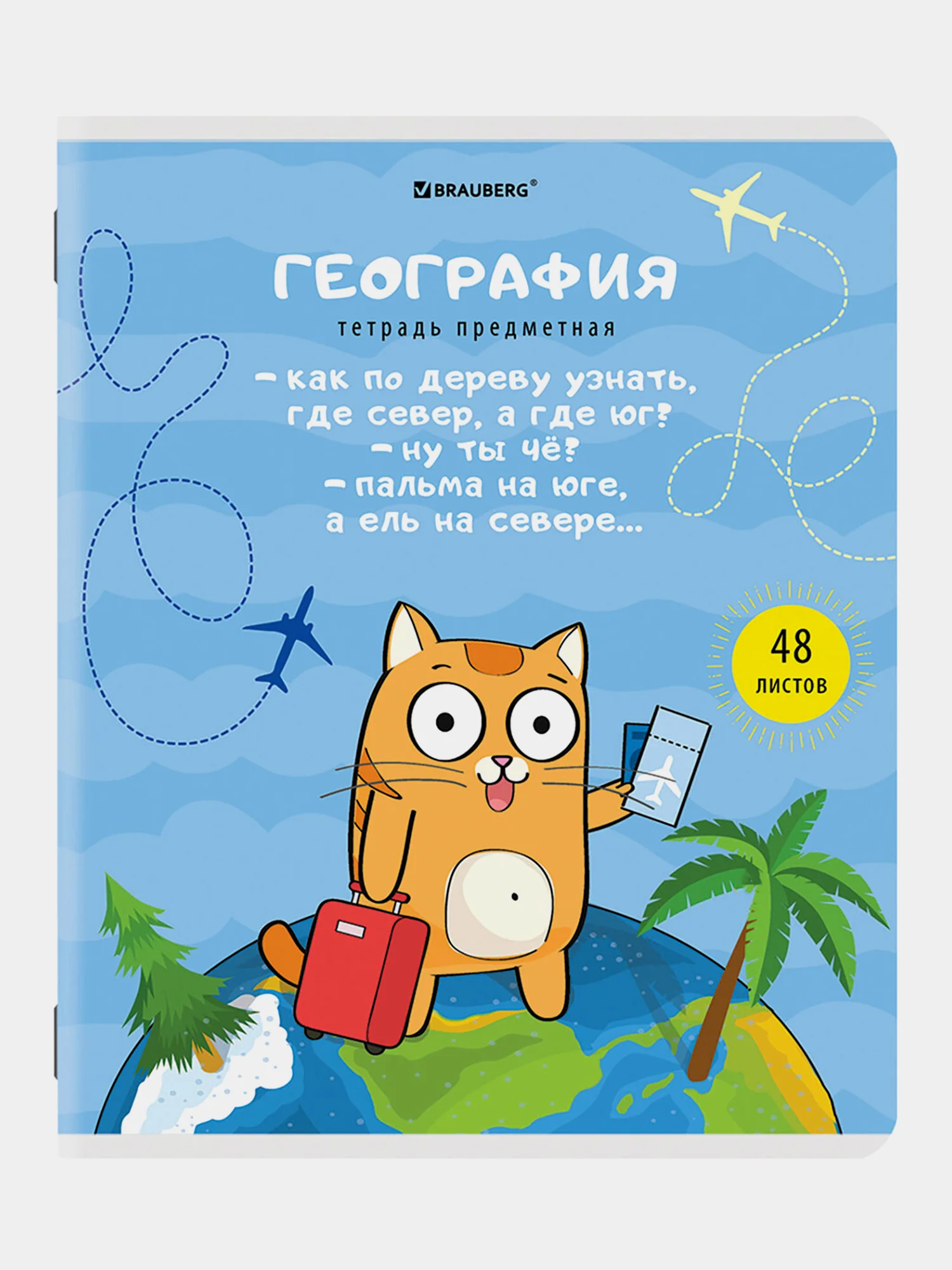 Тетради предметные школьные со справочным материалом, 48 листов Brauberg 404609