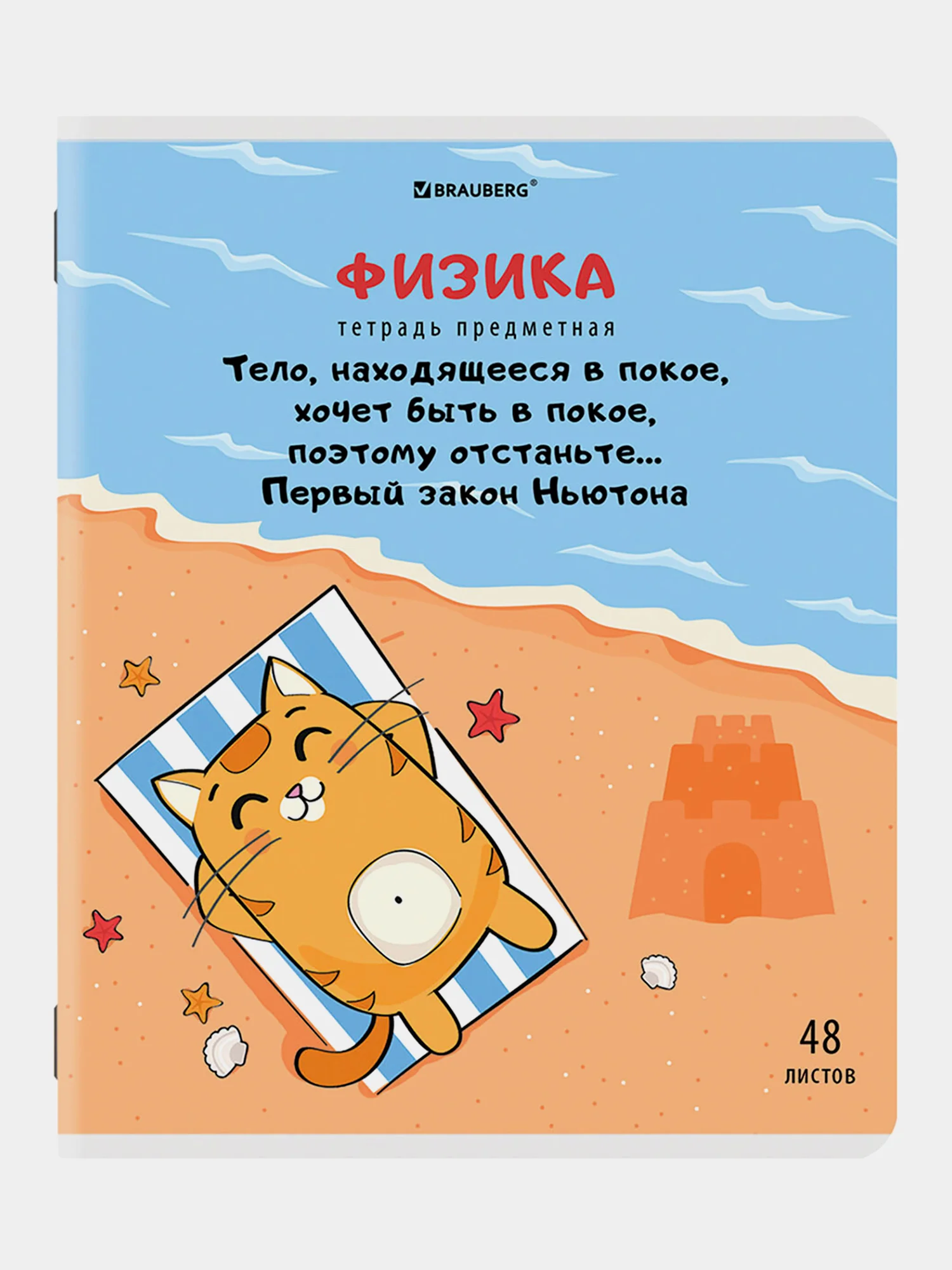 Тетради предметные школьные со справочным материалом, 48 листов Brauberg 404609