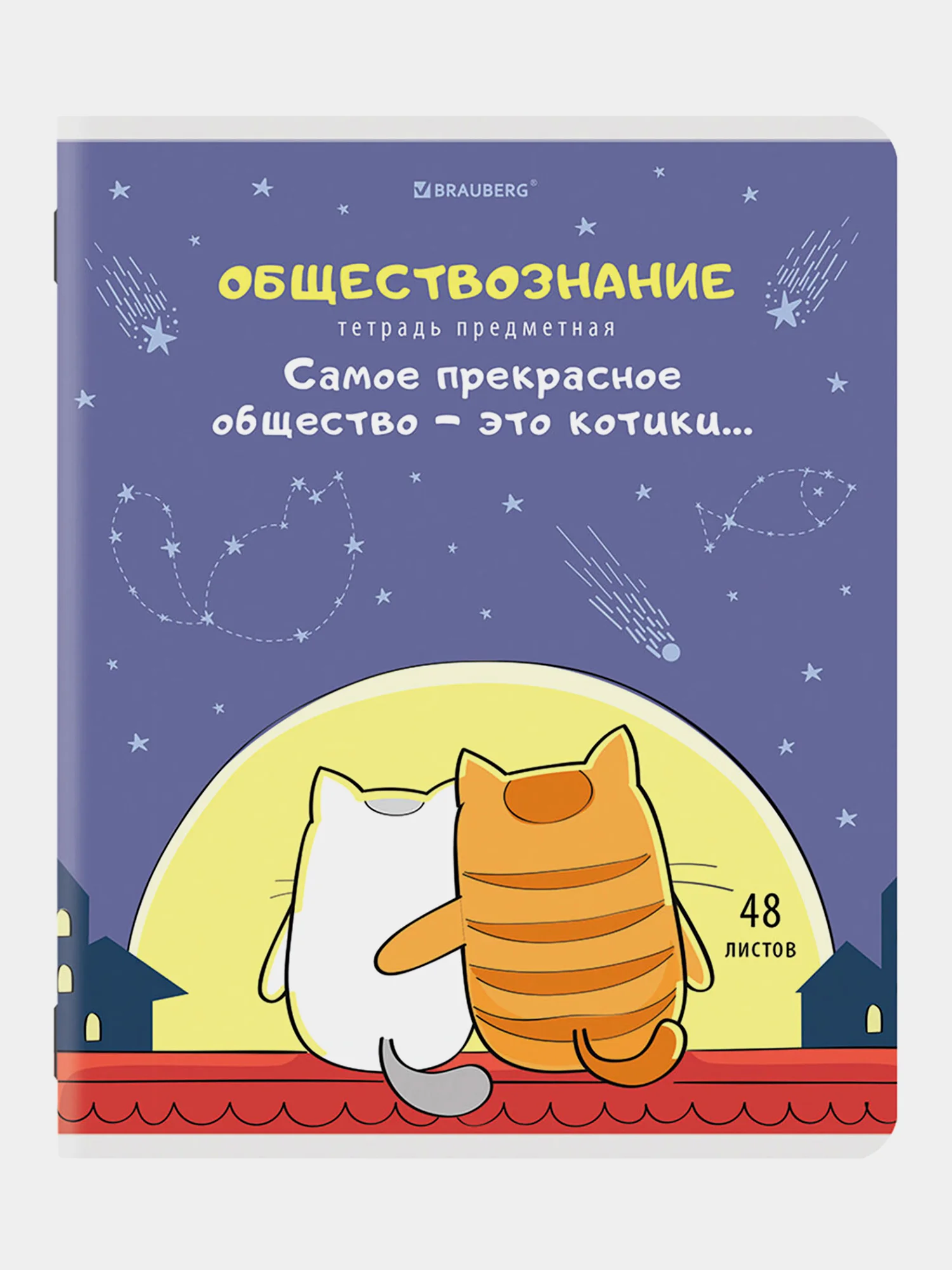 Тетради предметные школьные со справочным материалом, 48 листов Brauberg 404609