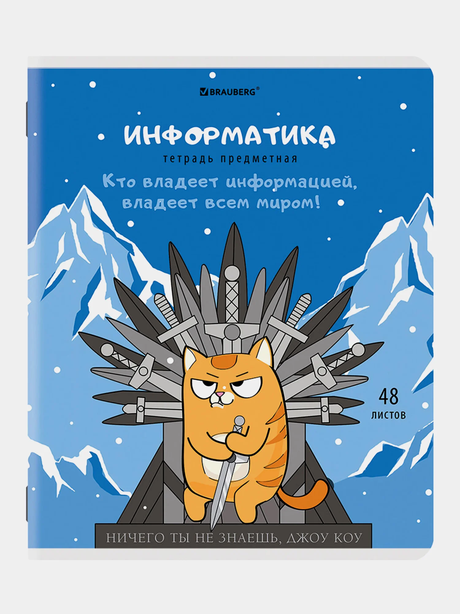 Тетради предметные школьные со справочным материалом, 48 листов Brauberg 404609