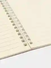 Зеленый блокнот с пружиной А5, записная книжка в линейку, 60 листов