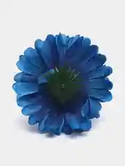 Головы хризантем цветов синие