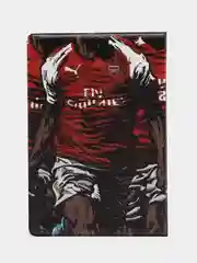 Обложка чехол на паспорт ФК Арсенал (FC Arsenal)
