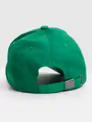 Зеленый бейсболка АЛГА