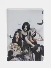 Обложка чехол на паспорт Джей Идл (G Idle)