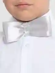 Серебряный бабочка