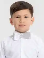 Серебряный бабочка