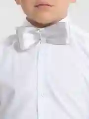 Серебряный бабочка