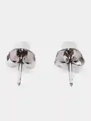 Морской серьги-гвоздики из медицинской стали