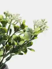 Белый каланхоэ, ягоды, искусственная зелень, букет, эвкалипт, декор для дома, осока