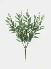 Зеленый рускус, ива, искусственная зелень, листья, трава, ветки, эвкалипт, цветы, букет