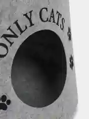 Домик для животных из войлока "Ушастик ONLY CATS", 46 х 46 х 43 см