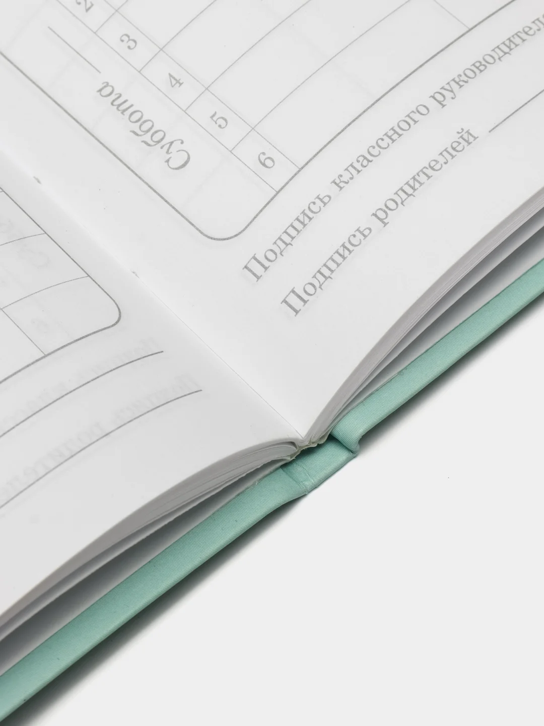 Голубой дневник 1-4 класс 48 л., интегральная (гибкая) обложка