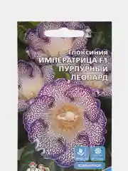 Глоксиния "Императрица Пурпурный Леопард F1", семена, цветы