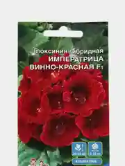 Глоксиния гибридная Императрица "Винно-красная F1", семена, цветы