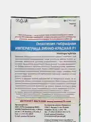 Глоксиния гибридная Императрица "Винно-красная F1", семена, цветы