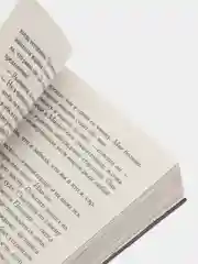 Джейн Эйр, серия "Роман с книгой", Бронте Ш