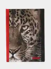Фотоальбом 100 фото 10х15 серия 400 Image Art
