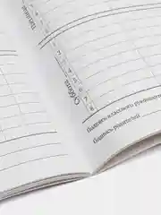 Фиолетовый дневник 1-11 класс, 40 л., на скобе, обложка картон, мягкая