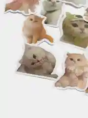 Индиго набор наклеек с кошками, стикеры котики и лапки, детские, для девочек, 50 штук