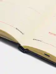 Ежедневник-планер (планинг), записная книжка недатированный А5, Brauberg, под кожу, 114476