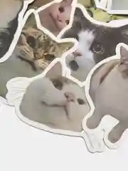 Наклейки стикеры Коты / мем /50 штук/ котики