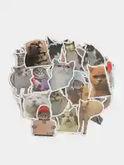 Наклейки стикеры Коты / мем /50 штук/ котики