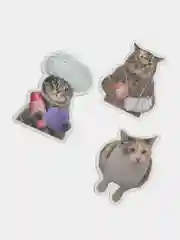 Наклейки стикеры Коты / мем /50 штук/ котики