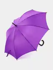 Фиолетовый зонт-трость Standard, красный