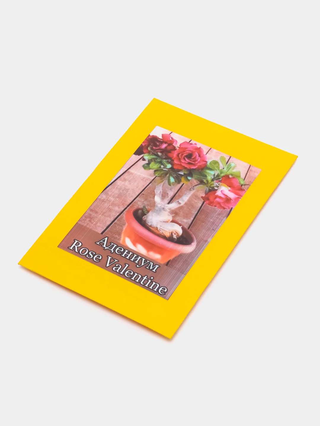 АДЕНИУМ Rose Valentine, цветы, семена