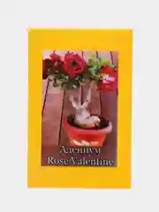 АДЕНИУМ Rose Valentine, цветы, семена