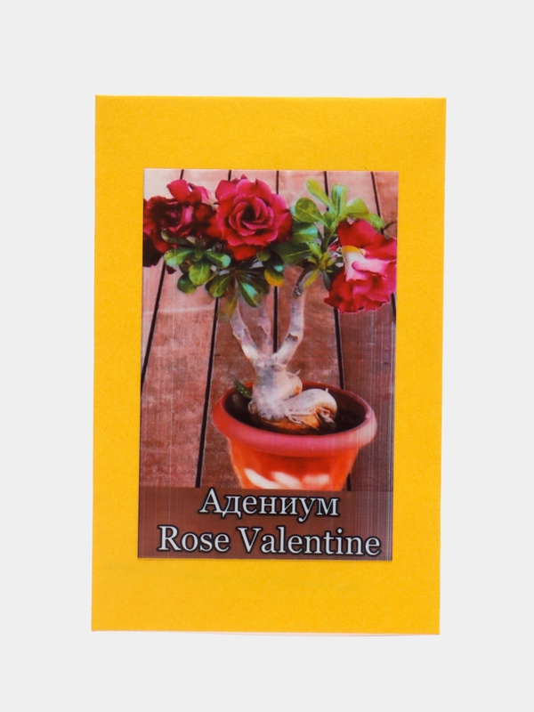 АДЕНИУМ Rose Valentine, цветы, семена