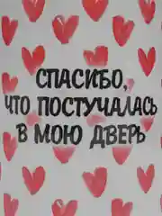 Кружка с принтом "Спасибо, что постучалась в мою дверь. Серкан Болат"