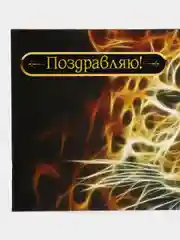 Бронзовый конверт для денег 9 x 16,6 см, набор 5 шт