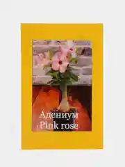 АДЕНИУМ Pink rose, семена, цветы