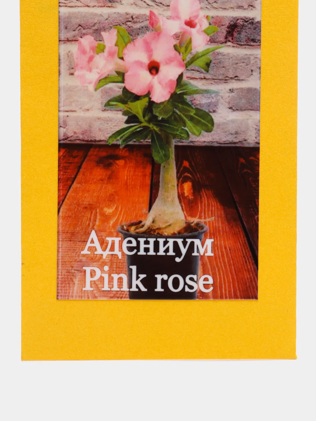 АДЕНИУМ Pink rose, семена, цветы