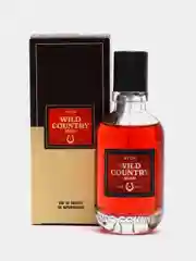 AVON туалетная вода, мужская, Wild Country Rush, 75 мл