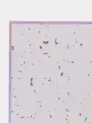 Лавандовый карты голографические Genshin Impact