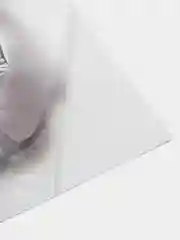 Бордовый переводные временные водные татуировки  черно-белые(17X48 см) рукав