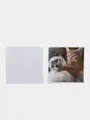Лайм наклейки-стикеры "Котики, коты"