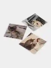 Лайм наклейки-стикеры "Котики, коты"