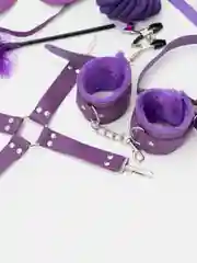 Фиолетовый бдсм набор, 10 предметов