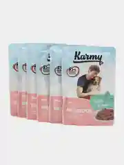 Консервированный корм для привередливых собак KARMY Delicious, утка в соусе, 6 штук