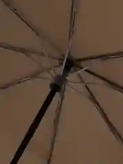 Коричневый зонт Xiaomi Mijia Smart Mechanical Anti-rebound Automatic Umbrella