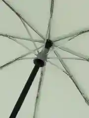 Зеленый зонт Xiaomi Mijia Smart Mechanical Anti-rebound Automatic Umbrella