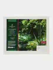 Холст грунтованный, 25 х 30 см, 100% хлопок, мелкое зерно на картоне, Greenwich Line