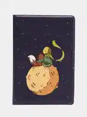 Обложка чехол на паспорт Маленький Принц (The Little Prince)