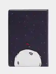 Обложка чехол на паспорт Маленький Принц (The Little Prince)