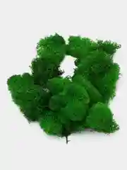 Лайм мох ягель стабилизированный, 50 г