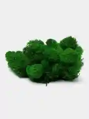 Лайм мох ягель стабилизированный, 50 г